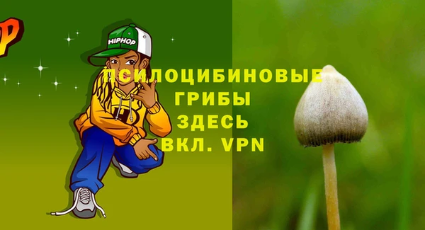 прущие грибы Алексин