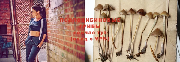 твердый Аркадак
