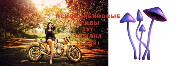 прущие грибы Алексин