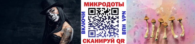 Псилоцибиновые грибы мухоморы Междуреченск
