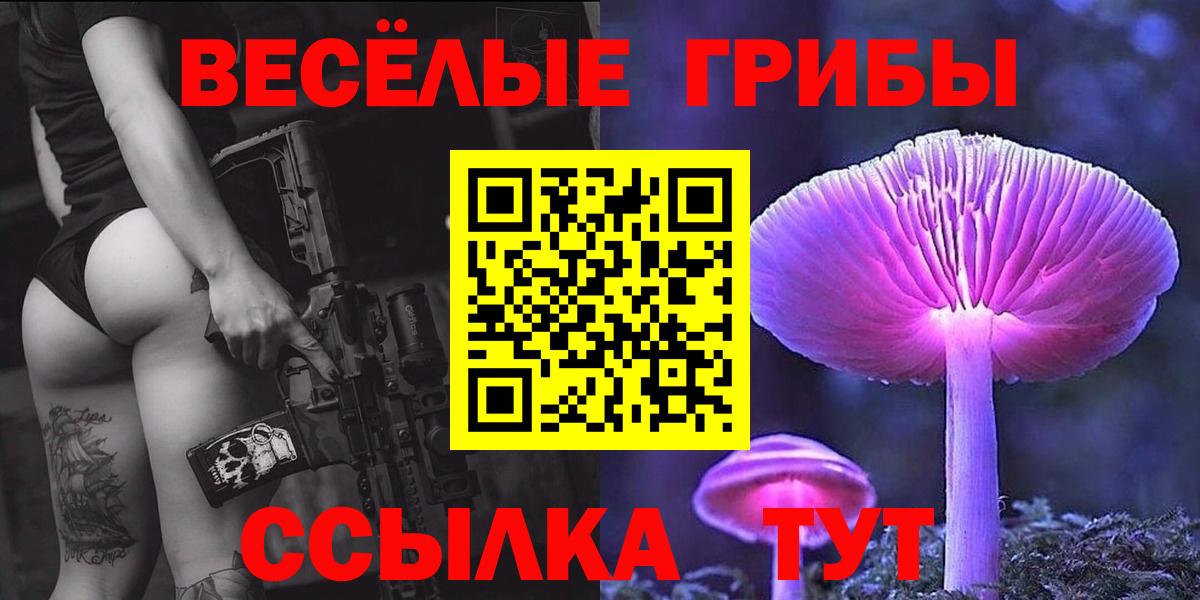 Междуреченск  Галлюциногенные грибы Cubensis  Вход с VPN 