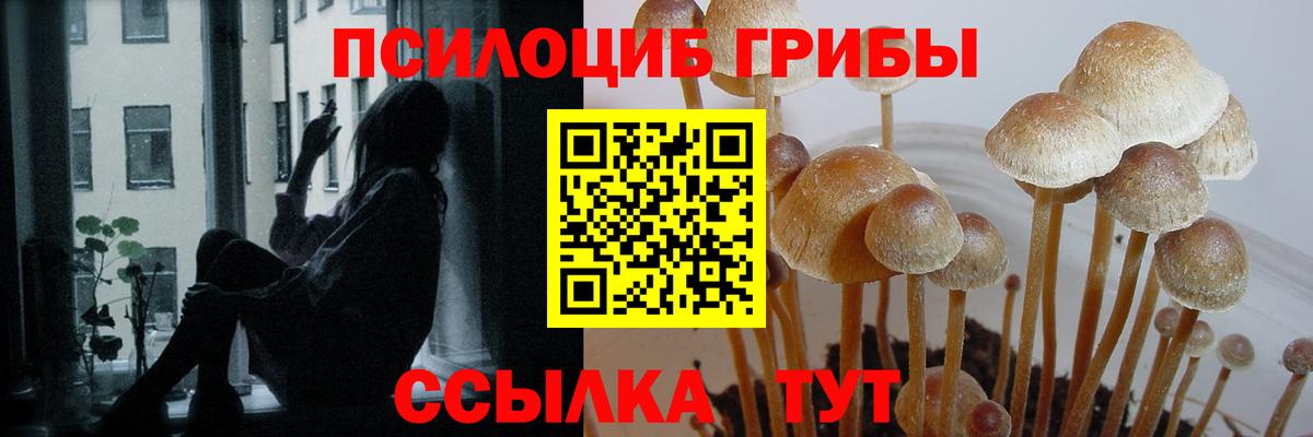 Галлюциногенные грибы мицелий Междуреченск