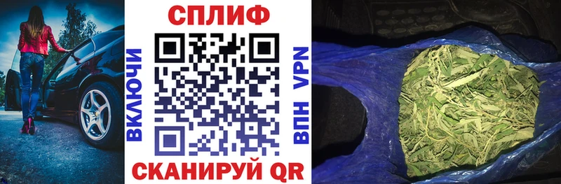 где можно купить Междуреченск Каннабис сатива